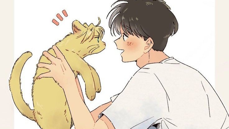 ︎ ︎︎ ︎ ︎︎ ︎Amy (@arrozconlentjas) on Twitter photo 