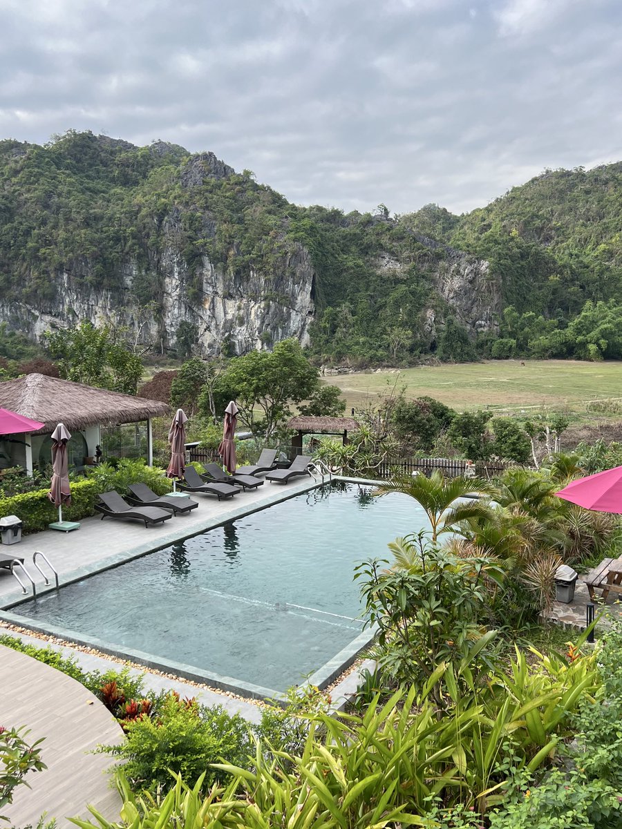 Trading in Vietnam hits different 🏝️