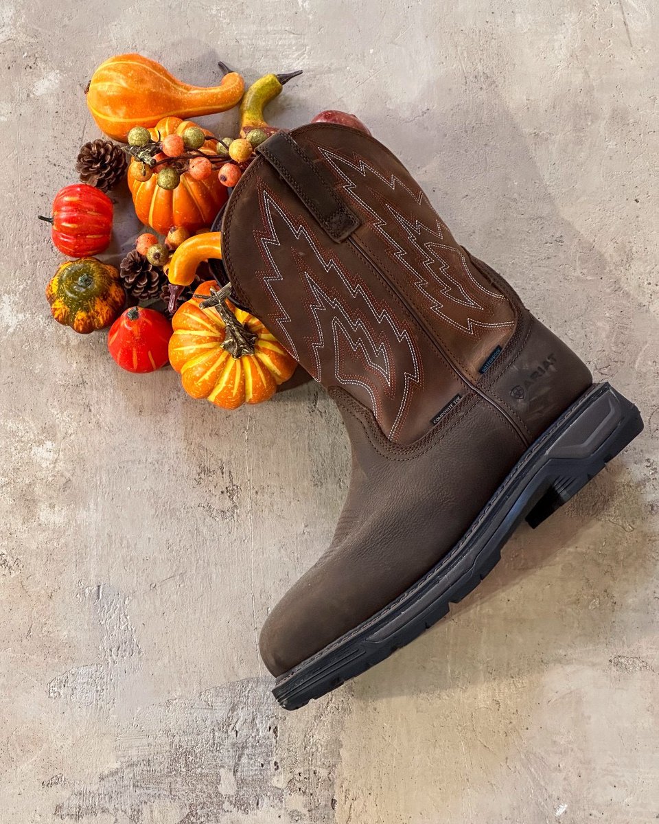 Ariat's tweet image. Happy Thanksgiving! Wishing you a bountiful holiday filled with family and friends (and boots). #AriatWork