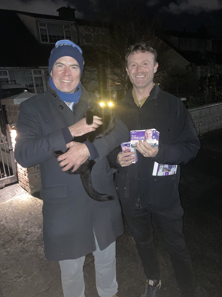 dlooney's tweet image. Social Demon Cats. 

@rossom with his own cat! 🐈‍⬛💜