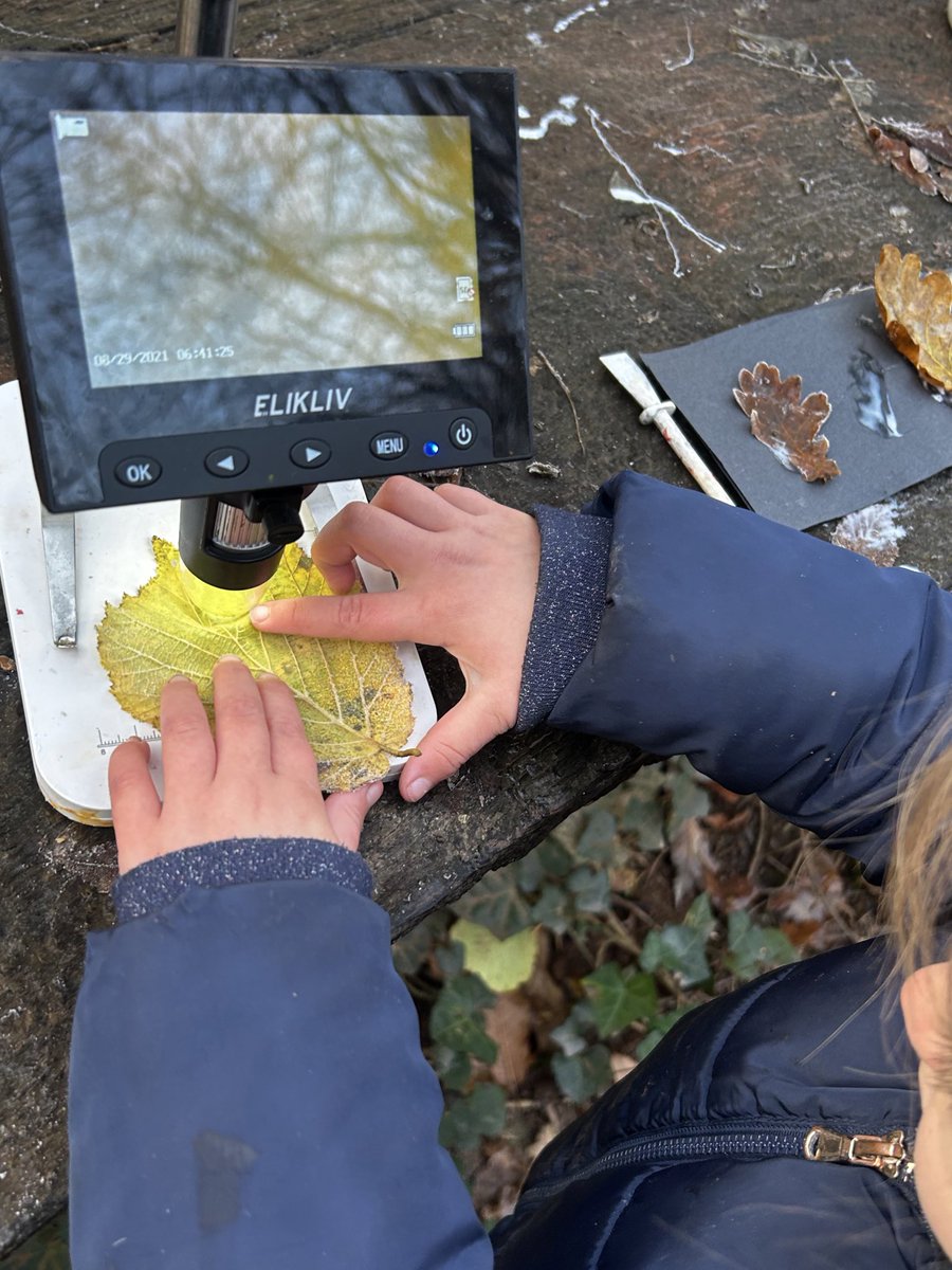 Monnow Primary School tweet media