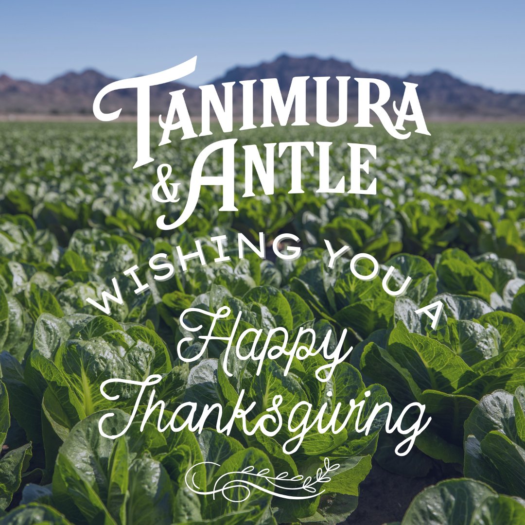 taproduce's tweet photo. Happy Thanksgiving! Nothing beats the crisp, fresh taste of Artisan Romaine, harvested straight from the field! π₯¬β¨ Packed right at the source, our romaine reaches you at peak freshnessβready to be used for your holiday meals.
#taproduce #fieldfresh #artisanromaine #farmtotable https://t.co/raVulG4mKx