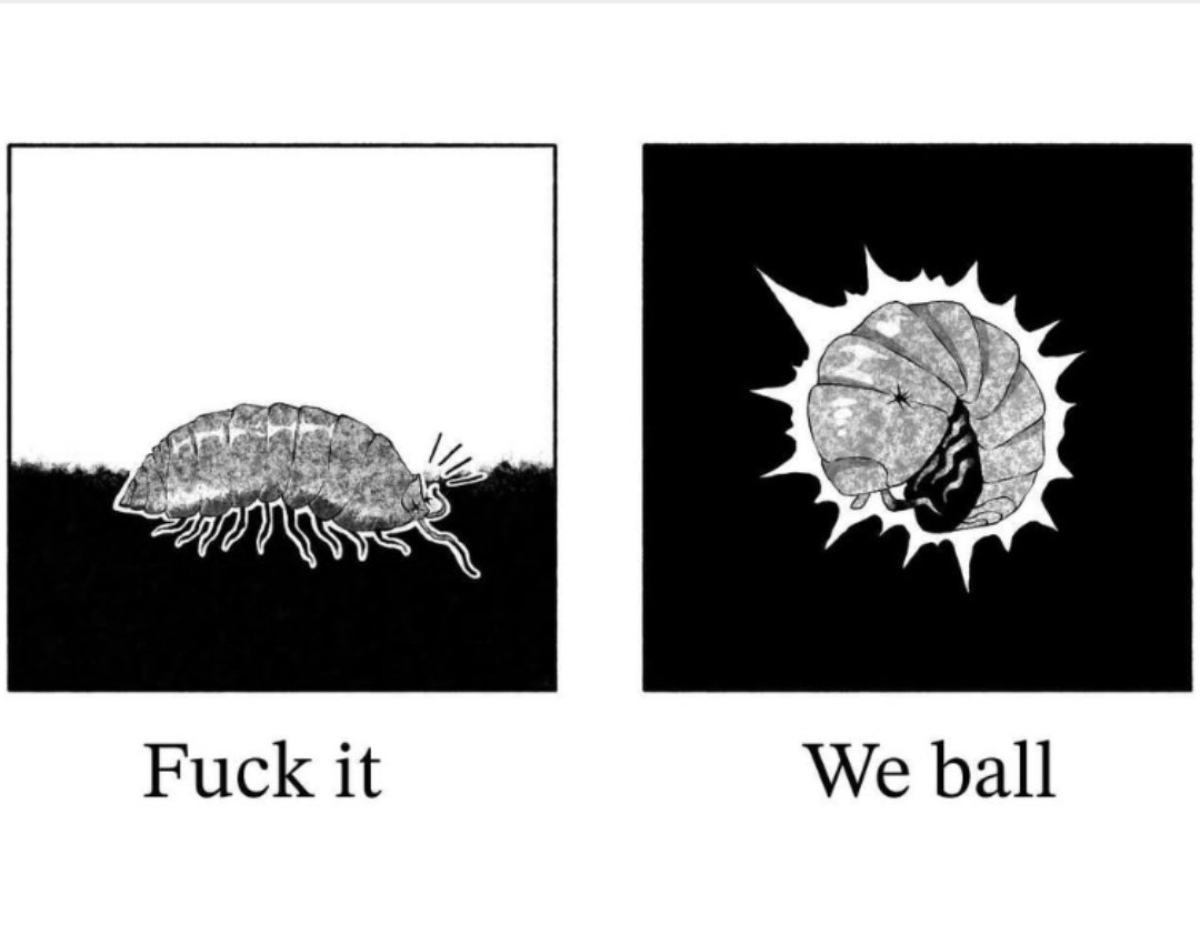 BrysonsArts tweet media