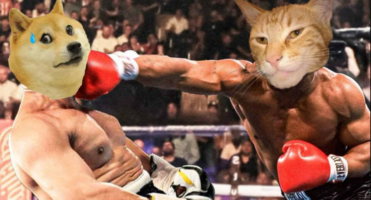 mendy_black1's tweet photo. @ctogigacat my entry sir @ctogigacat 

"Furious Feline Fighter

Join the unstoppable #CatSquad, where victories are the only currency that matters! 💸 https://t.co/yIOEjdFNAt