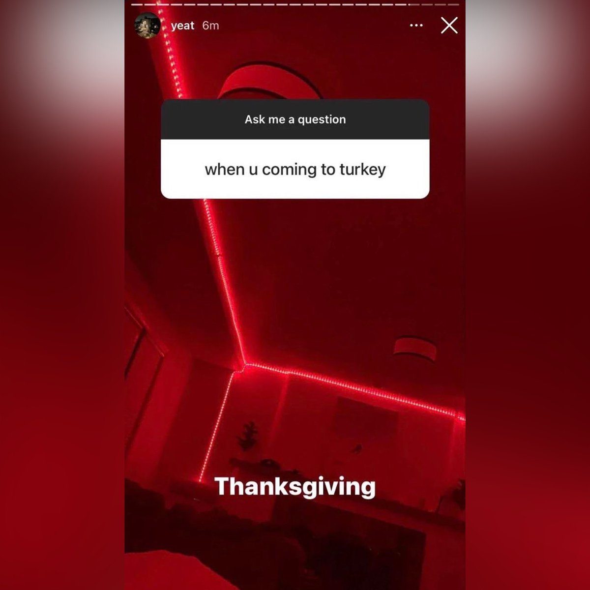 scrti's tweet image. happy turkey day