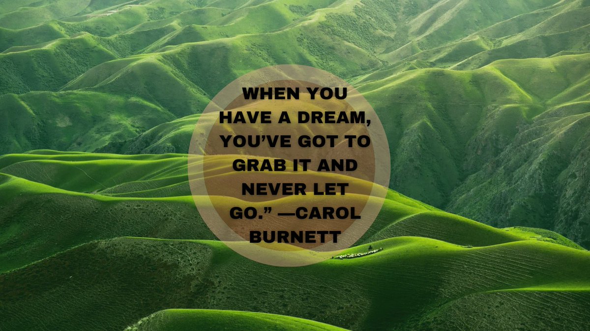 When you have a dream, you’ve got to grab it and never let go.”
~ Carol Burnett
#quotes 
#positivity 
#positive