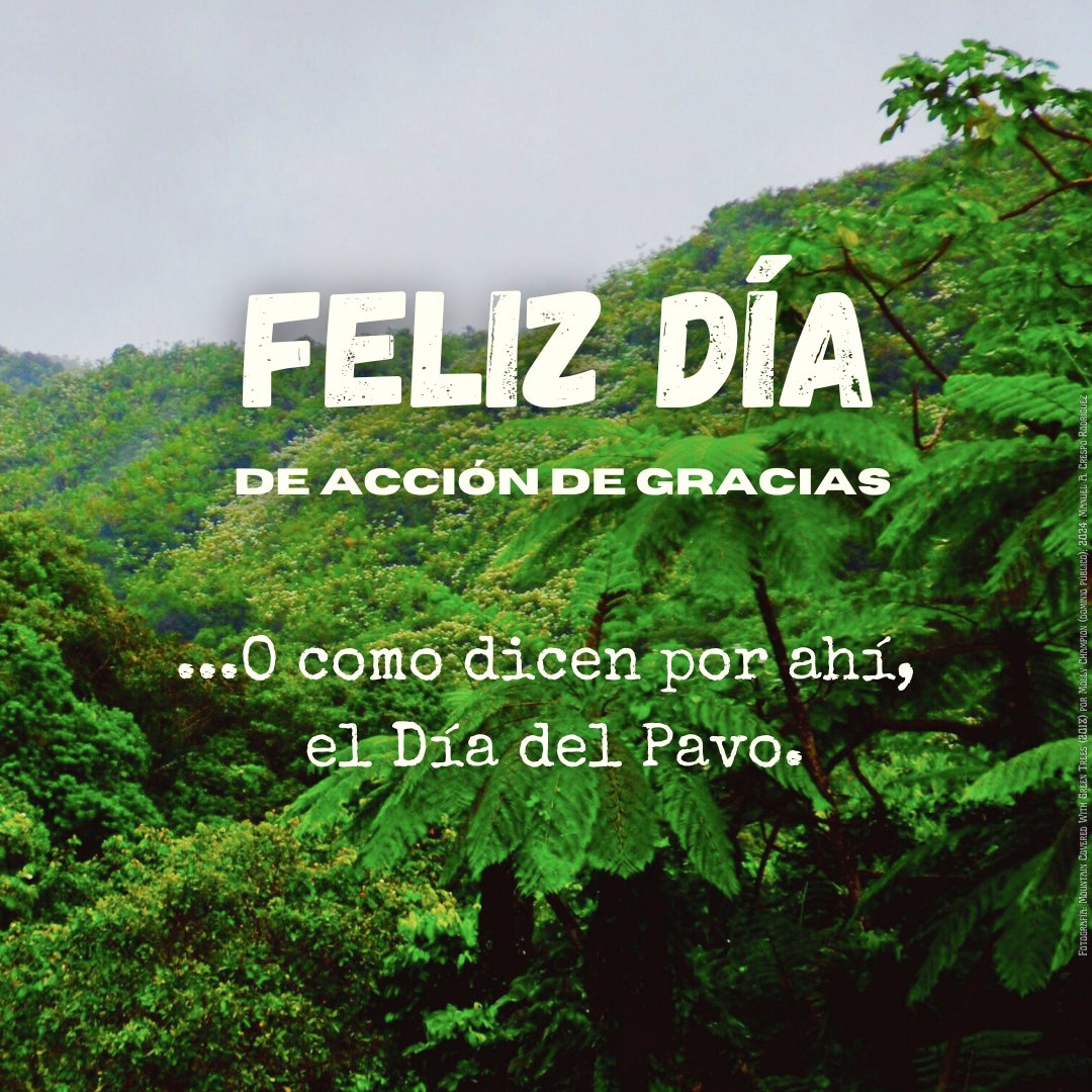 manuelcrespoale's tweet image. Fortunas particulares en día de agradecimiento | Octava real. ☄️

¡Feliz día de Acción de Gracias!

#Thanksgiving2024 #octavareal #poema #puertorico #acciondegracias #thanksgiving