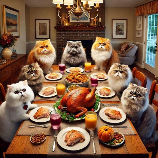 _CaTeresa_'s tweet photo. Happy Thanksgiving! https://t.co/4t0eRD1peT