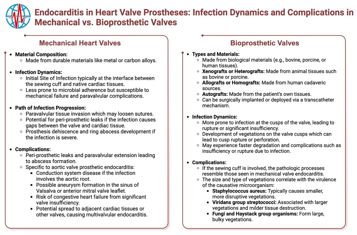 CardiologyUniv's tweet photo. 🧵Prosthetic Valve Endocarditis In a Nutshell 🥜(5/5) https://t.co/EvSVpMvmby