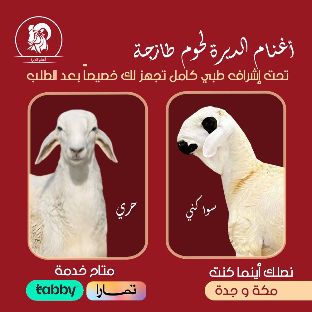 Zeyad_jehani's tweet photo. رابط المتجر 

خذ لفة عليه 👍🏻

رسمي و سجل تجاري و الذبايح 👍🏻

https://t.co/NH1y7tTOsB https://t.co/JxdILqRnHm