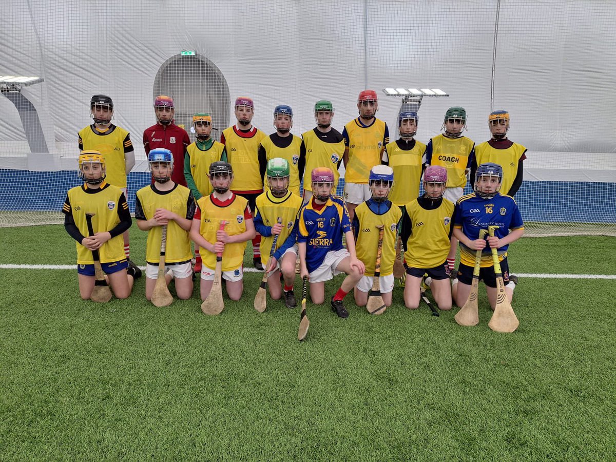Roscommon Coaching & Games tweet media
