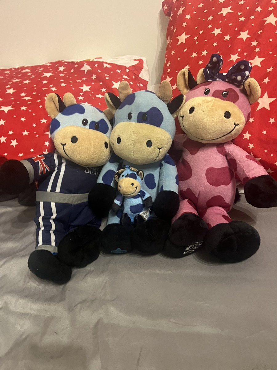 Another few added to the shmoo group might be my favourite one yet 🐄<a href="/Shmee150/">Shmee150</a>