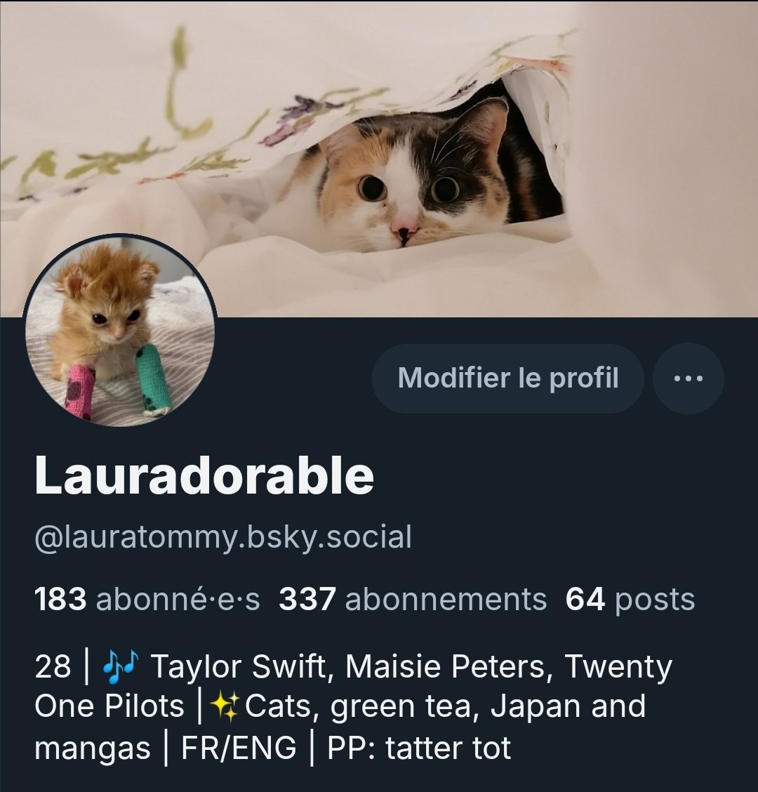 oneokcat's tweet photo. I've been fairly active over there, please follow me! 🫡 https://t.co/iWWVGVYgh5