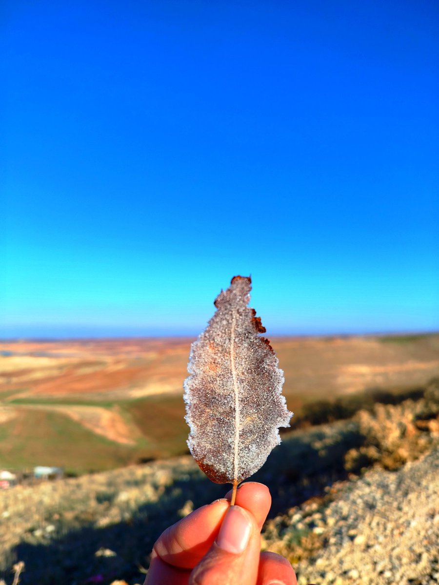 Payîz... 🍁🍂

<a href="/arya_paleous2/">ARYA PALEOUS photo</a>