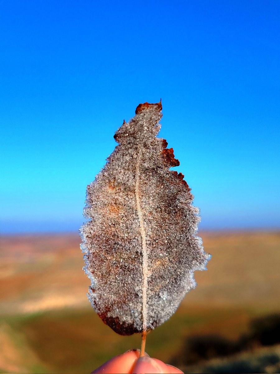 arya paleya kevn (@arya_paleous) on Twitter photo 