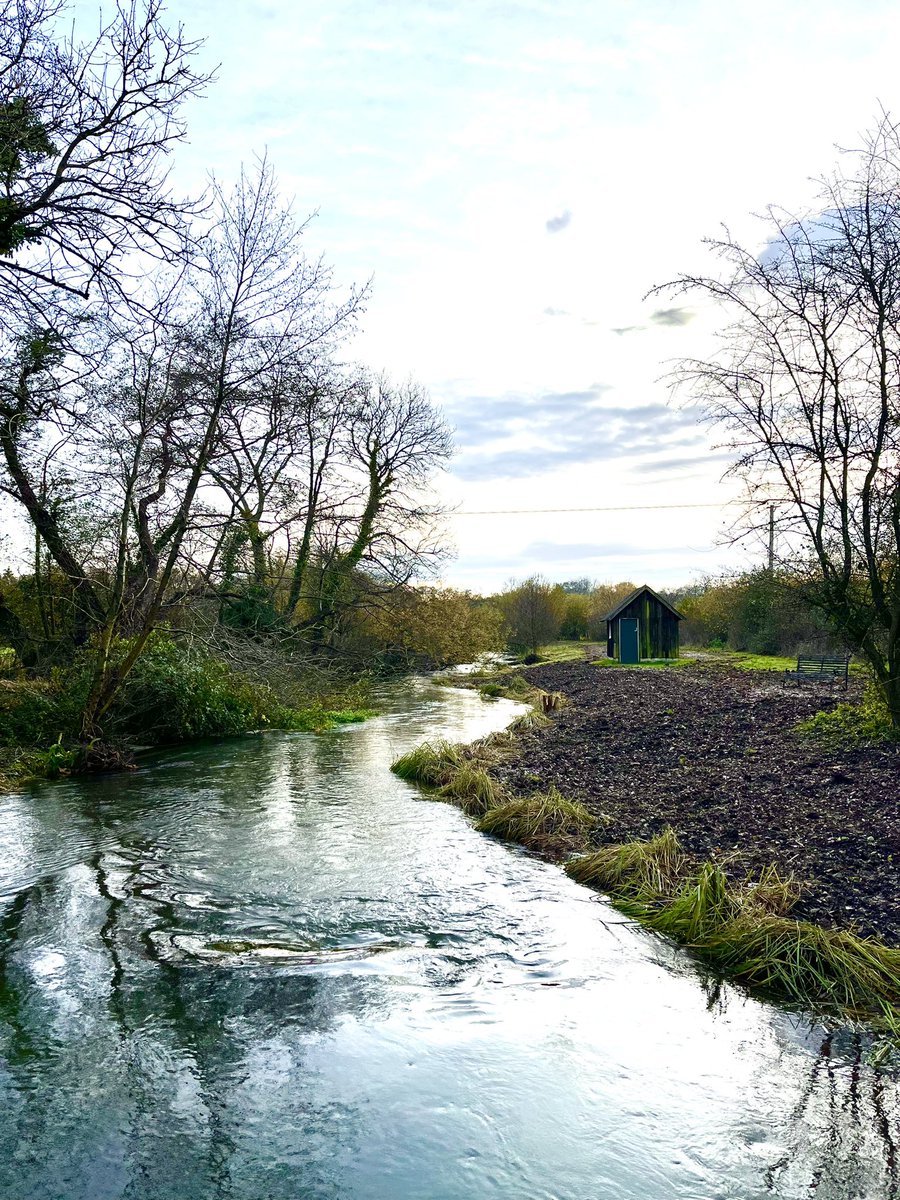 Blacky_Himself's tweet photo. Before/After 
1 month apart

🔹Un-straightened
🔹Un-widened
🔹Bank lowered
🔹Self-cleansing flows restored

@WessexRivers #ChalkStream #RiverRestoration on the River Test. https://t.co/r3PAuPN18n