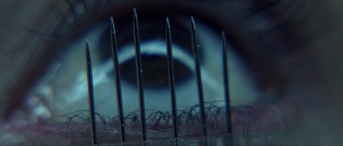 Evil Gremlin tweet media