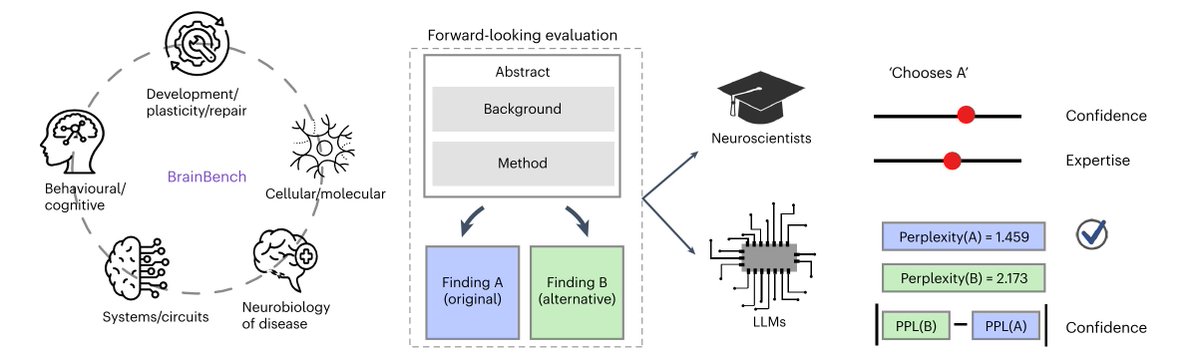 Can AI surpass human expertise in neuroscience? New research says YES! 

Using a novel benchmark called BrainBench, large language models (LLMs) proved more accurate than human experts in predicting neuroscience experiment results. Here’s the breakdown: