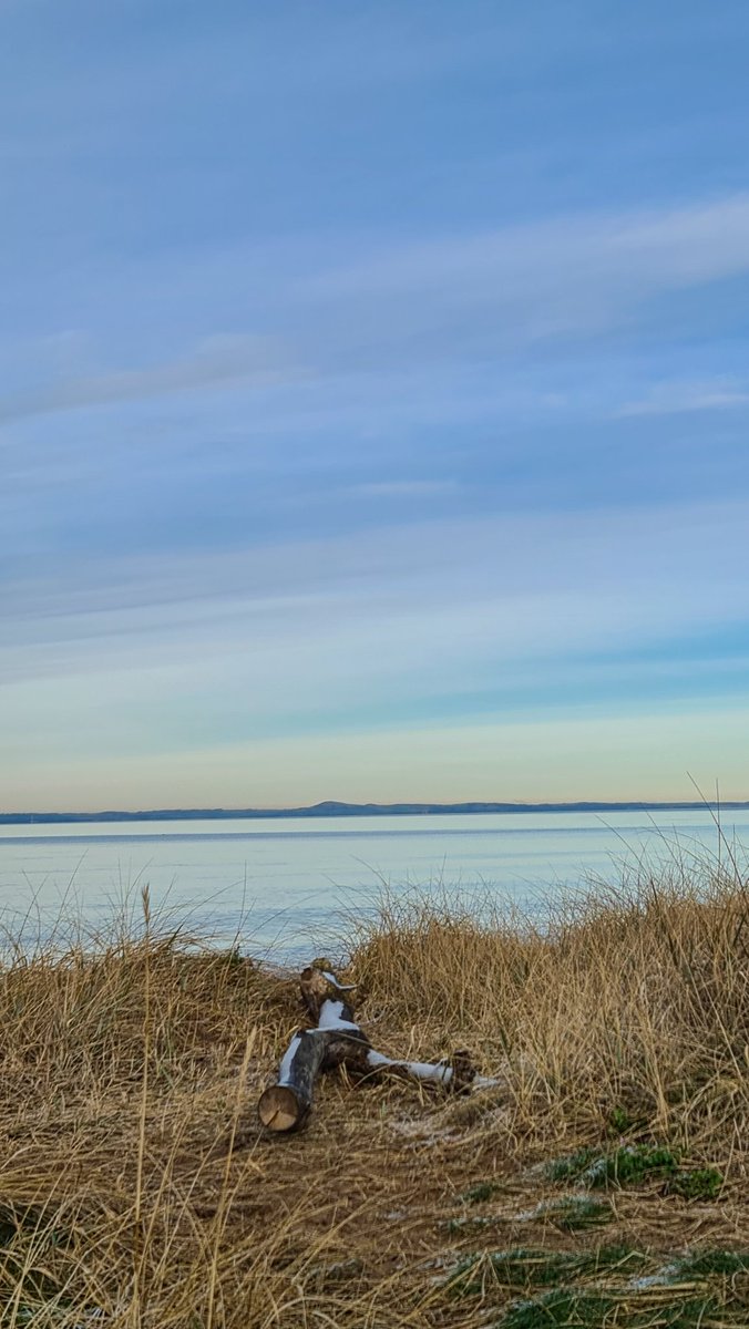 Beautiful but cold walk along the promenade this afternoon.
#Musselburgh #EastLothian #beach #FirthOfForth