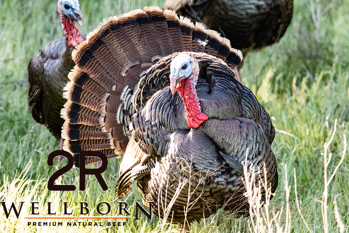 2rBeef's tweet photo. Happy Thanksgiving! We hope you all have a wonderful day enjoying family and friends. 

#eatbeef #primerib #thanksgiving #thankful#family #friends #livewell #eatwell #wellborn2Rbeef #realandrare #wellbornandbred https://t.co/YgjIGBLmH4