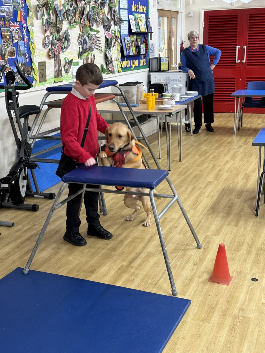 SparksTheDogMentorSPAG tweet media