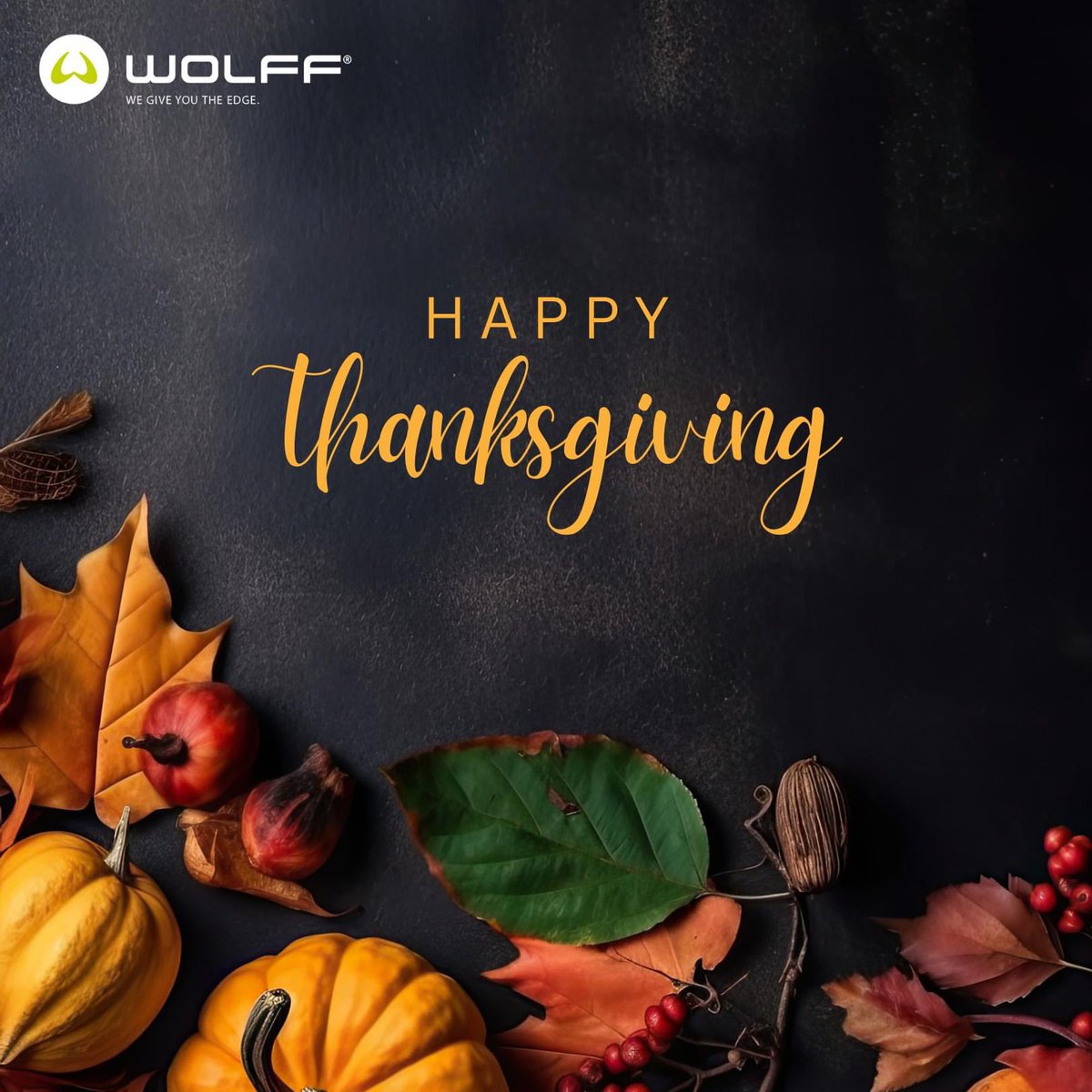 Wolff NL tweet media