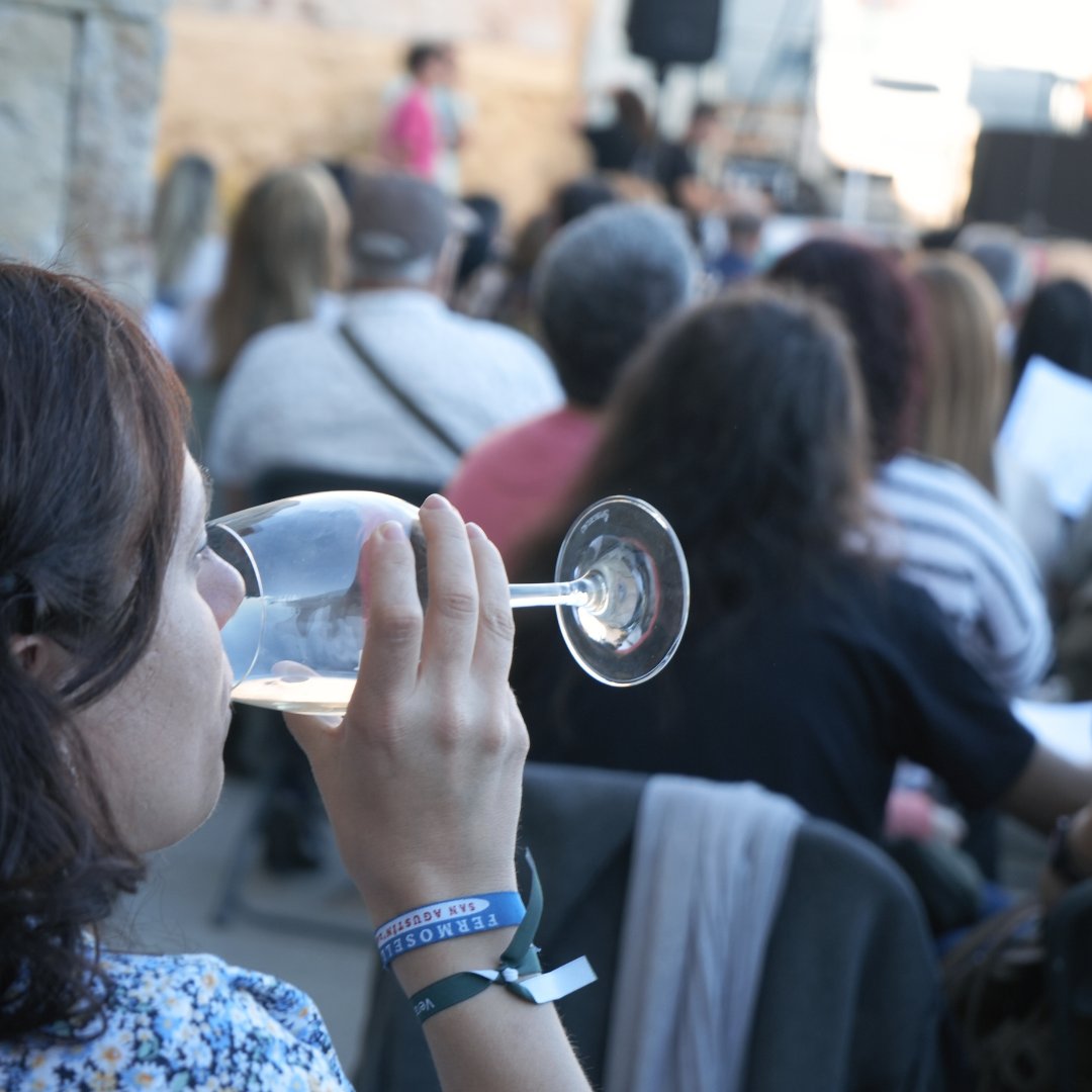 ¿Qué mejor que un buen vino para acompañar una cata de quesos? Así lo disfrutamos en #Fromago2024 en un rincón inigualable como es el Mirador del Troncoso 🧀🍷