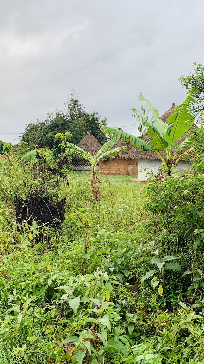 Mi memories at Otipe village in Kumi District