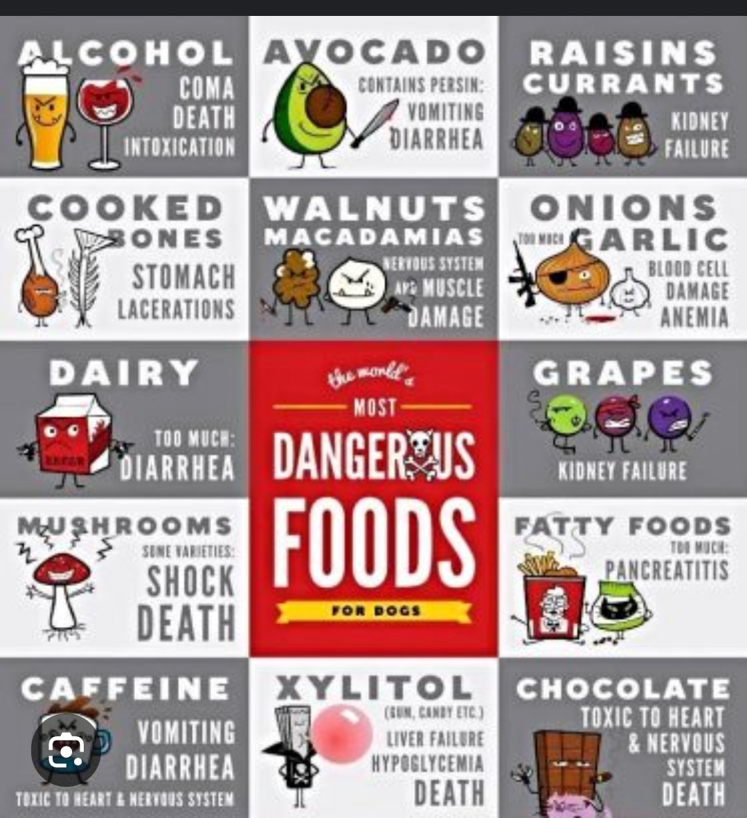 GoldretrieverUS's tweet image. Holiday foods that are dangerous for dogs. 

No tablet scraps is safest 

#Thanksgiving    
#dogsafety
(Goldencuties Pins)