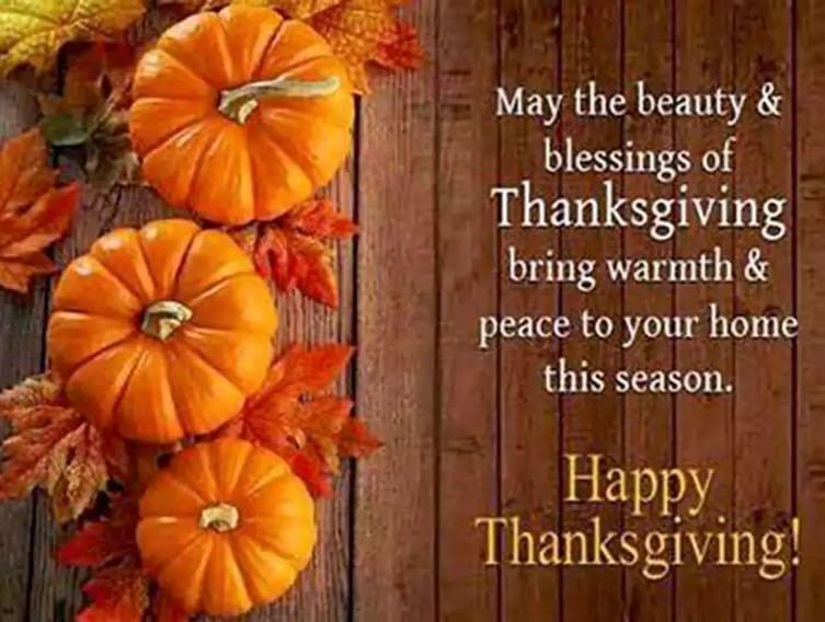 siraj_huma's tweet image. 