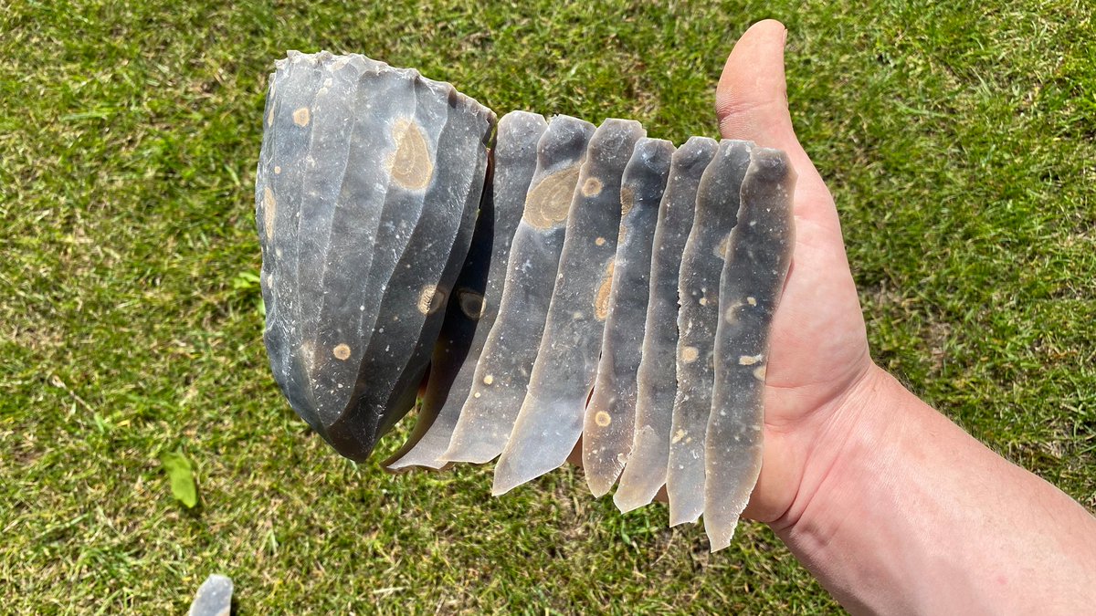 Dr. James Dilley tweet media