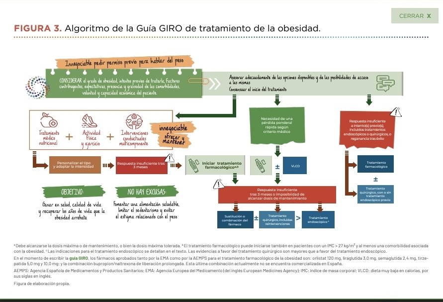 🚀 Los #innegociables de la propuesta #GIRO para #tratar la #obesidad: precoz, intensivo y mantenido en el tiempo ✅️.
<a href="/SociedadSeedo/">SEEDO</a> <a href="/sociedadSEEN/">Sociedad SEEN</a> <a href="/SEDiabetes/">SED Diabetes</a> <a href="/SEMERGENap/">SEMERGEN | Médicos de AP #SEMERGEN25</a> <a href="/CAMFiC/">🌳CAMFiC</a> <a href="/SEMG_ES/">SEMG 🩺 #OrgullososDeEstarALaCabecera👩‍⚕️👨‍⚕️</a> <a href="/Sociedad_SEMI/">Sociedad Española de Medicina Interna (SEMI)</a> <a href="/redGDPS/">redGDPS Diabetes</a> <a href="/SEReumatologia/">Soc.Esp.Reumatología</a> <a href="/SENefrologia/">S.E.N. Nefrología</a> <a href="/SECPREorg/">SECPRE</a> <a href="/mardelmala/">Mar Malagon</a> #SonMuchosMás