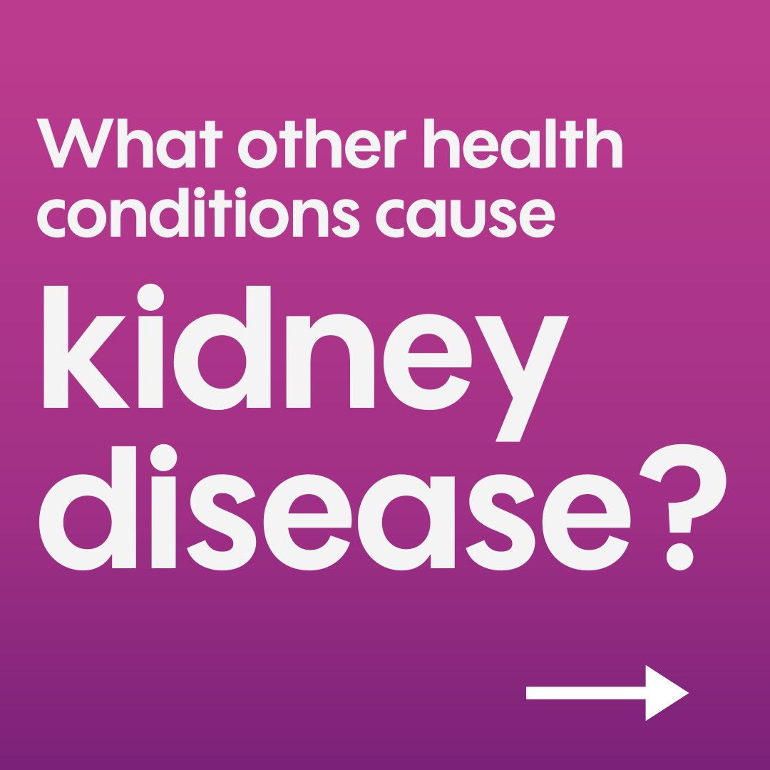 Kidney_Research's tweet photo. Kidney disease often doesn’t appear on its own; it is commonly linked with other conditions including heart disease, diabetes, and mental health conditions.

Studying other health conditions alongside kidney disease is crucial to understand how these conditions influence each other, leading to more effective treatments and improved management of overall health.  

For more information, head to our website: https://t.co/zUeJZbezFi