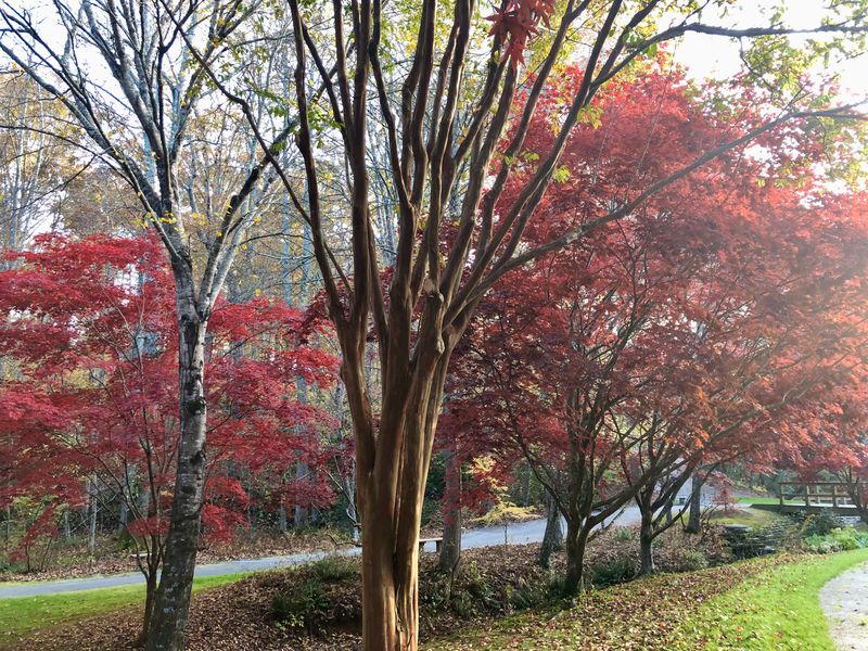 KennethBoa's tweet image. 🍁 Happy Thanksgiving! 🍁

As we gather with loved ones today, let's take a moment to reflect on the true meaning of gratitude. Thanksgiving is more than a holiday; it's an opportunity to recognize the blessings in our lives and the grace of God that sustains us every day.