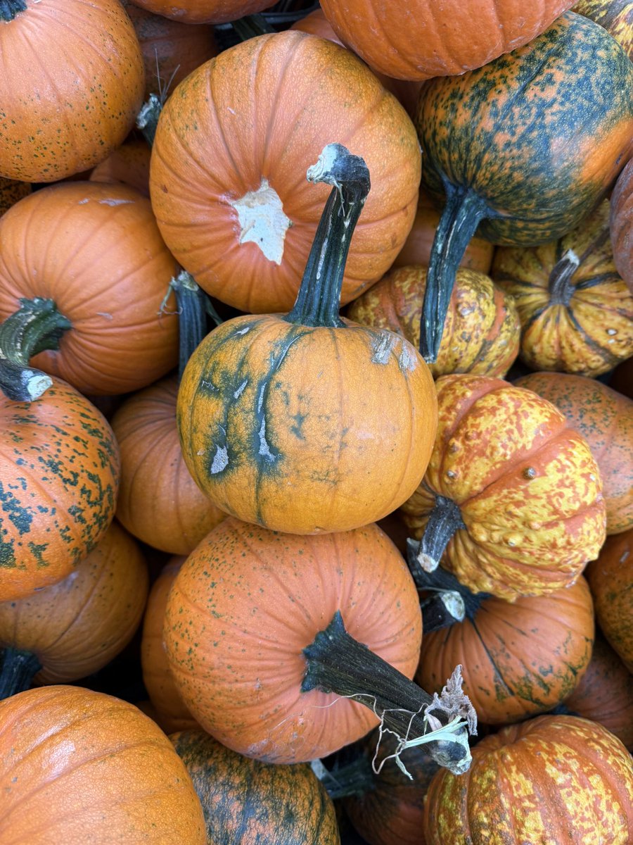 Happy Thanksgiving 🧡🧡🧡