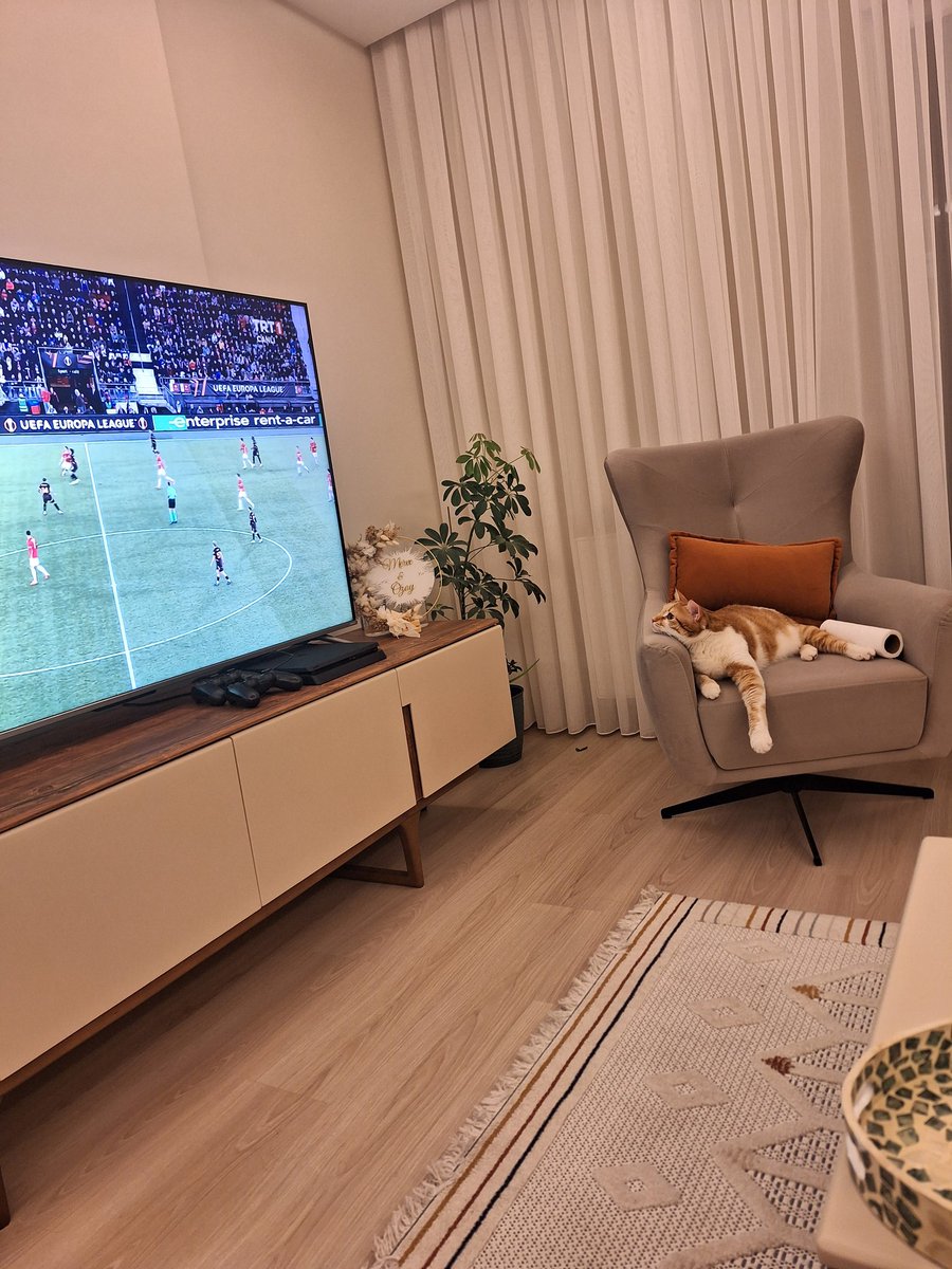 mervetskn1's tweet photo. @GalatasaraySK https://t.co/wlP8B4hmVB