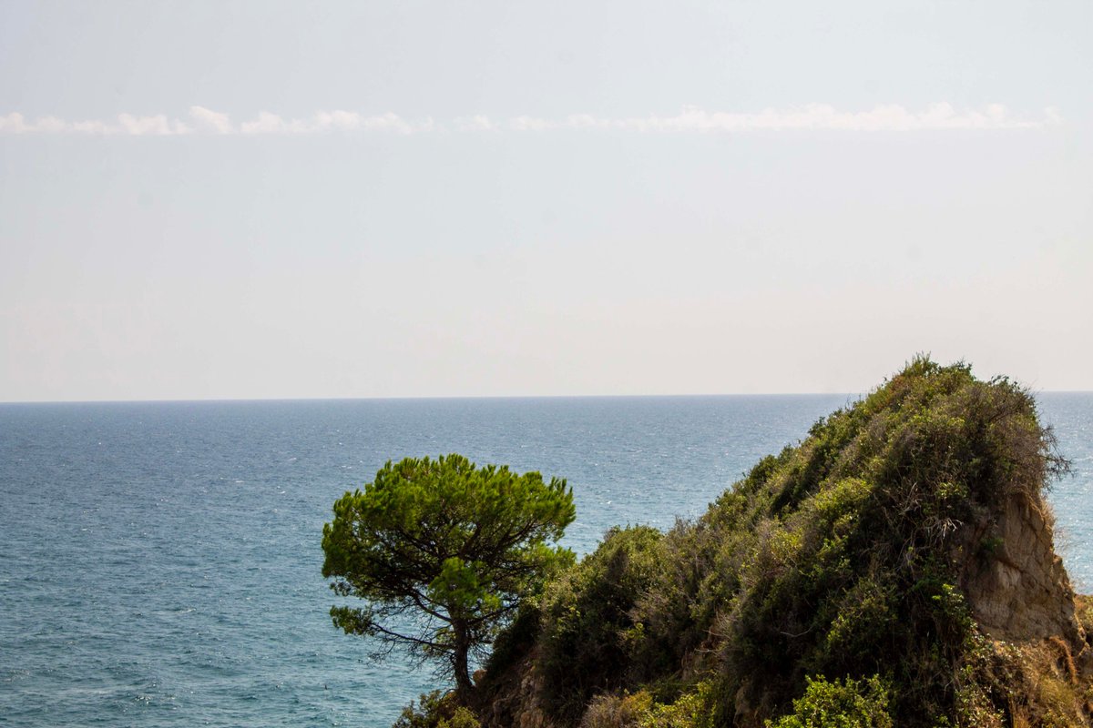 PhotoTjv's tweet photo. Warm Seas
(Calella, Spain, September 2018)
#photography #landscapephotography #coastalphotography #landscape #naturallandscape #nature #cliffs #stonepine #sea #MediterraneanSea #Mediterranean #Calella #Spain https://t.co/FuSD5ylZMp
