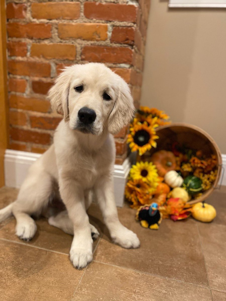 BHCC Police Department tweet media