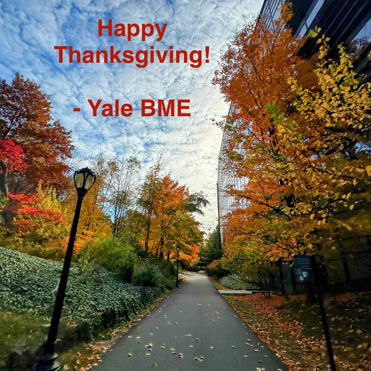 Yale BME (@yalebme) on Twitter photo 