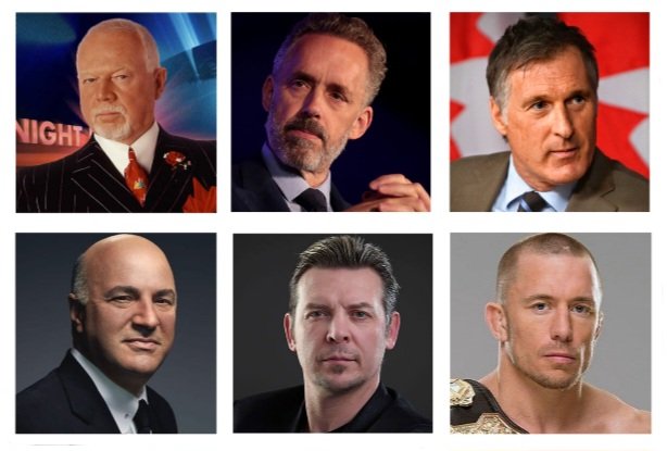 MY PICKS FOR CANADA 🇨🇦 

Prime Minister
Don Cherry

Deputy Prime Minister
Jordan Peterson

Minister of Immigration
Maxime Bernier

Minister of Foreign Affairs
Theo Fleury

Minister of Finance
Kevin O'Leary

Minister of Health
George St. Pierre