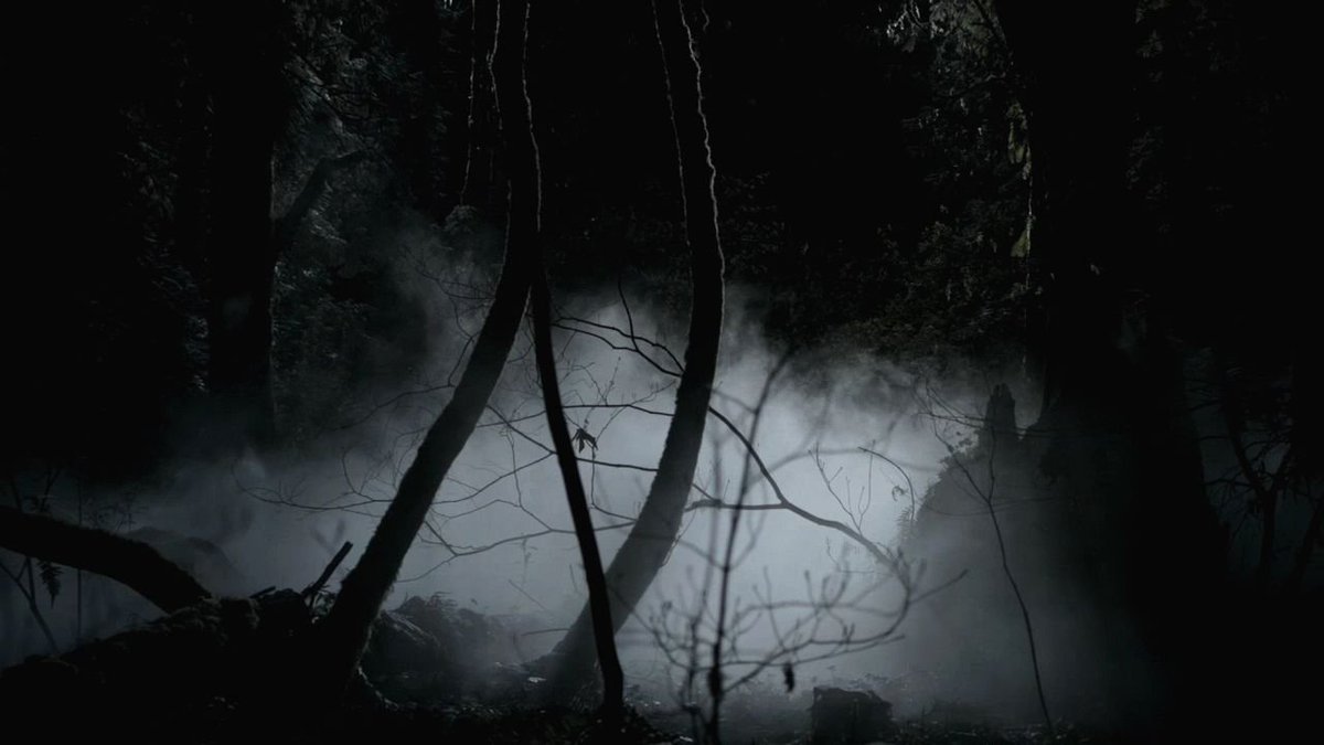 Cinéfilo ou não, todo mundo conhece essa floresta: