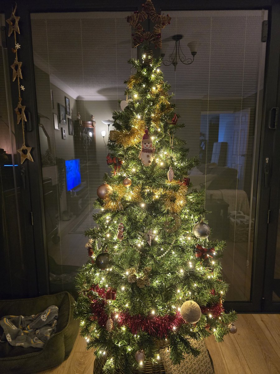 DGStweeter's tweet photo. Getting in the spirit for some Christmas DayZ! 

LIVE NOW with Havoc - Twitch: DobbysGammySock https://t.co/mGXWSFNuvD