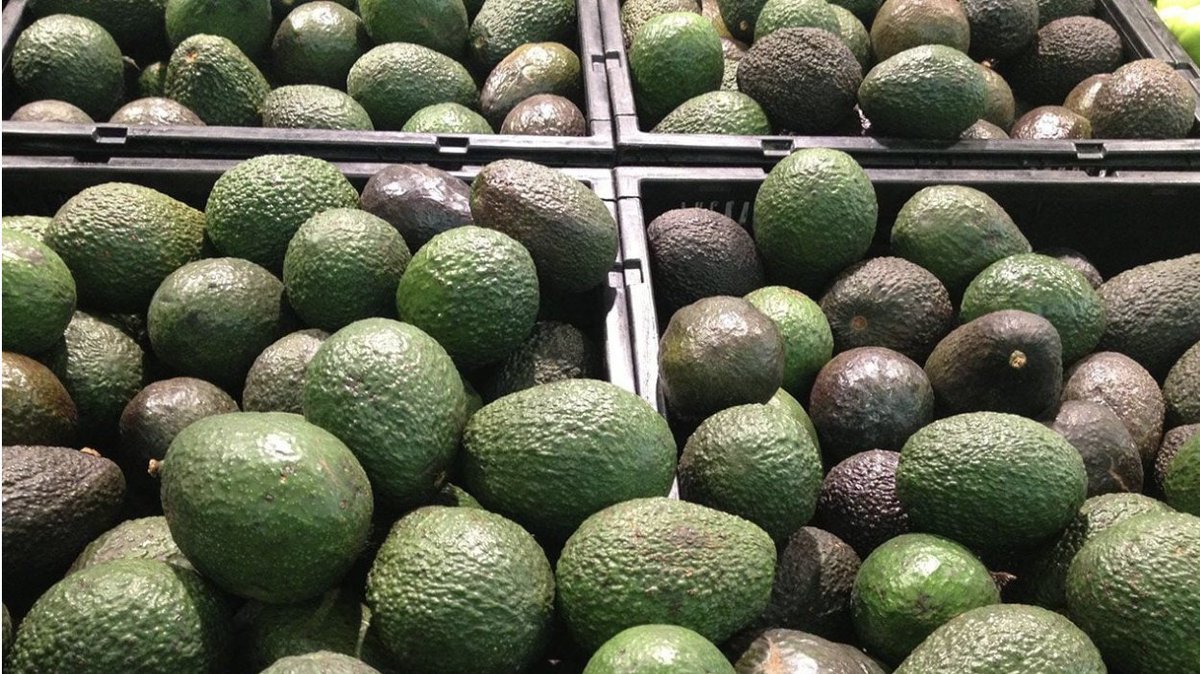Aguacates y otros productos frescos subirían en EU por arancel a México: expertos
forbes.com.mx/aguacates-y-ot…