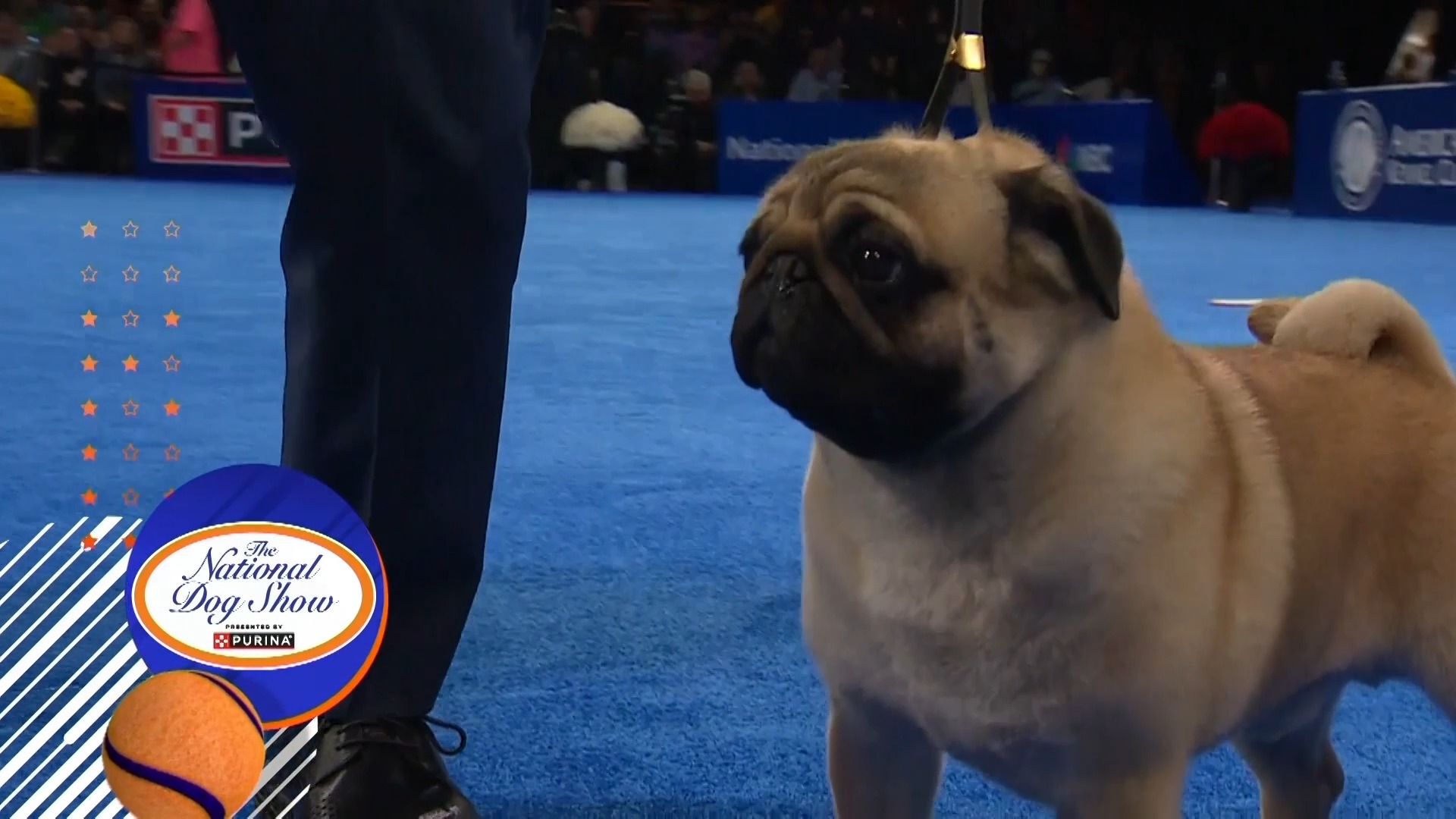nbc s video Tweet