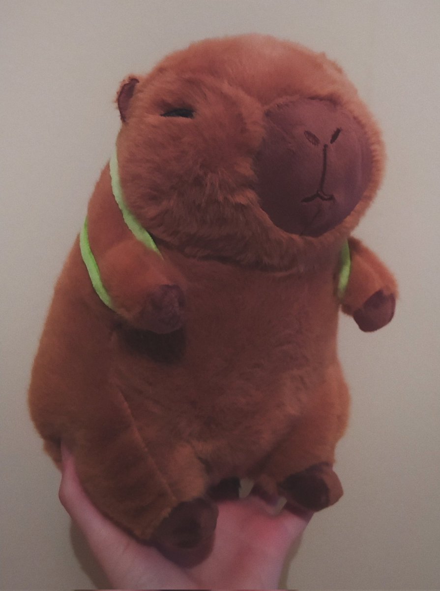 yukilly_'s tweet photo. essa capivara de bolsa é literalmente eu e o trolho 🦫🐢 https://t.co/4JeNFBtwIR