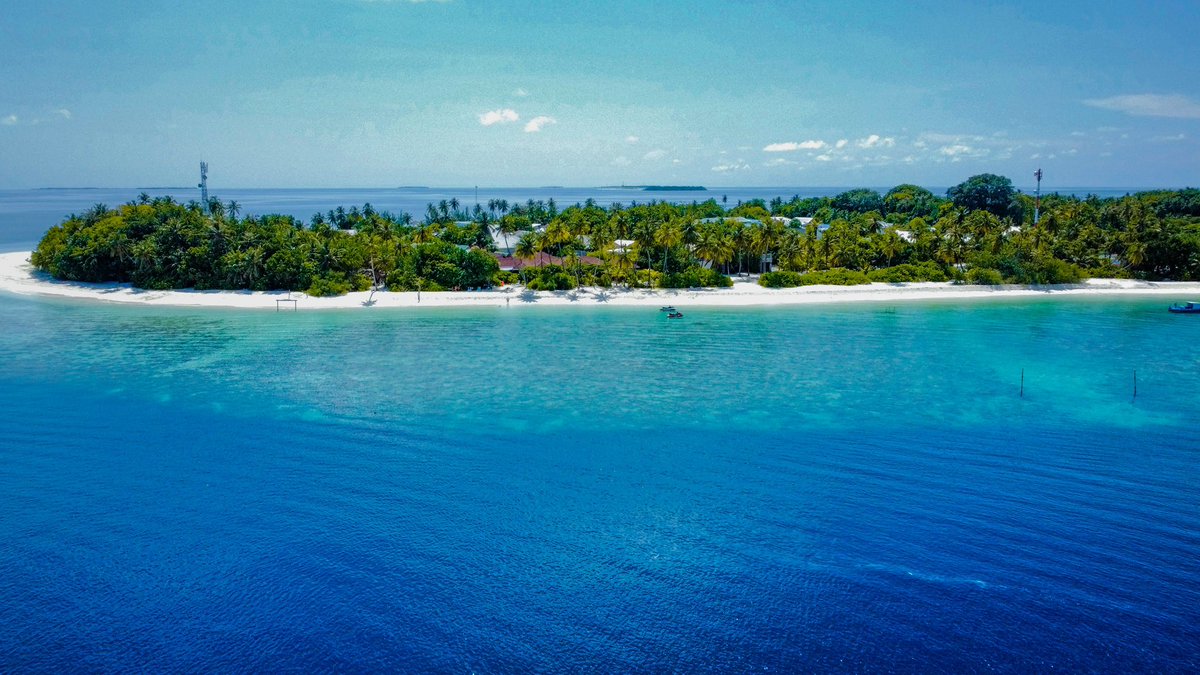 sabbatravels's tweet photo. The holiday begins where you take off on a domestic flight over the Maldives to take in the natural sights and then disembark on a 20-minute speedboat ride.
Will you be joining us #sabbabeachhotels #fodhdhoo in Noonu atoll ? 🇲🇻 
.
.
#maldives #islandlife #bestguesthouse https://t.co/4CU5GTGDHK
