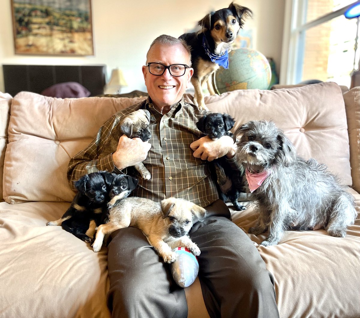 Happy Thanksgiving to you and yours from the eight of us! Left to Right: Blacky, Star, Socks, yours truly, Stripe (in my lap), Lucky, Lightning and Nelly.