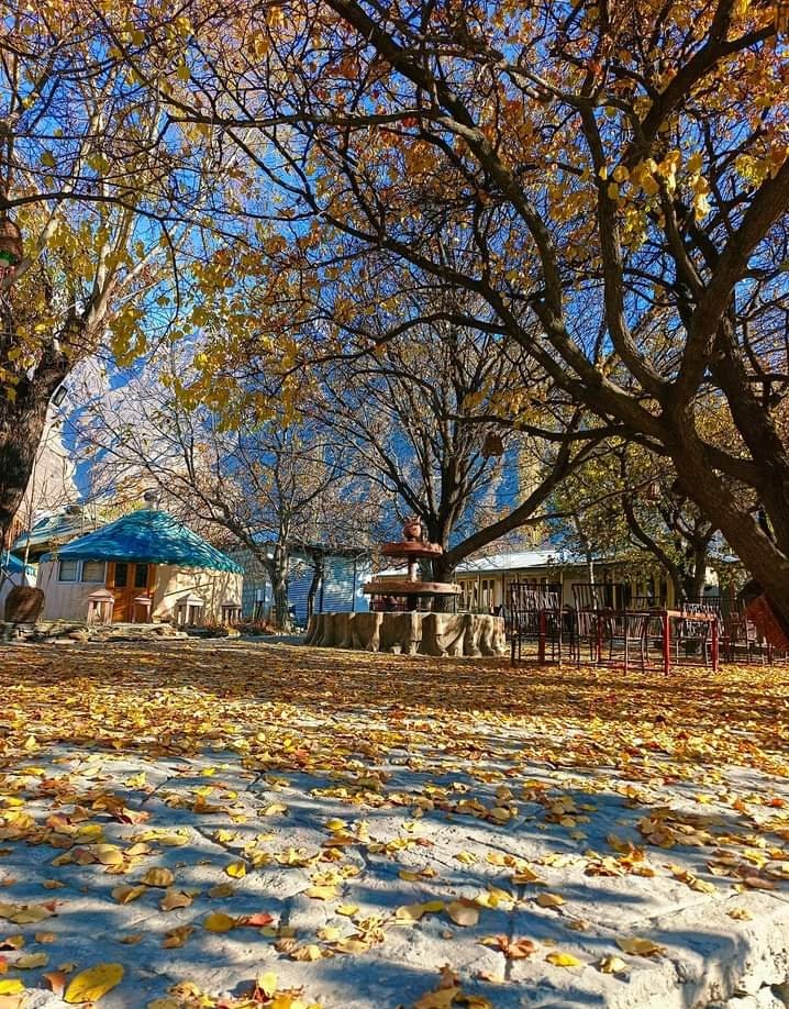MananHnz's tweet photo. Where the golden hues of autumn meet the rugged beauty of GilgitBaltistan, every view feels like a painting comes to life . 
#AutumnGilgitBaltistan #NaturesCanvas https://t.co/97XkJdZ42u
