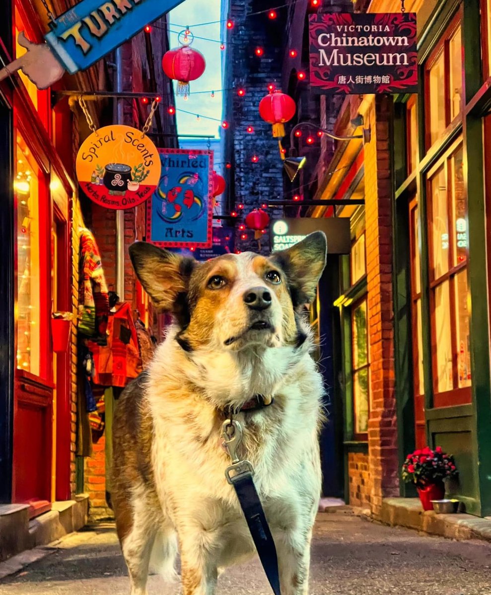 Charlayne T-J tweet media