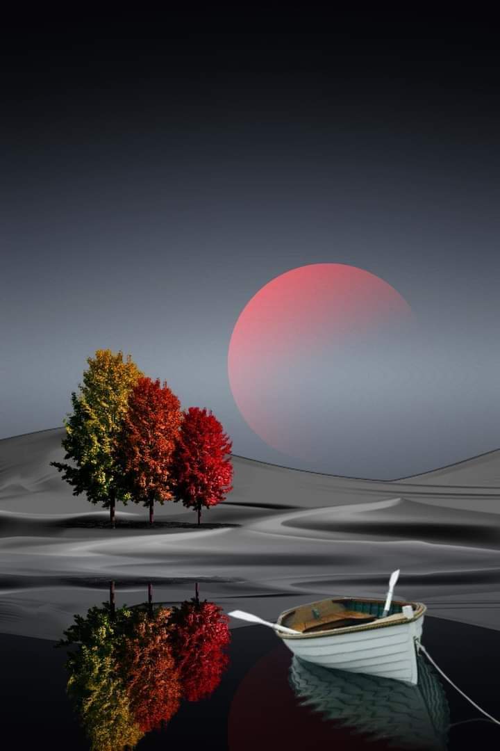 Good night 🌙 💫